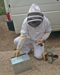 The bee keepers suit. Note the gloves! The tin box to the left contains fuel for the smoker the smoker with its bellow is on the right