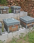 These traditional Spanish hives are propped up on clinker blocks to keep out the damp. To take the honey, smoke the hive and lift the lid, taking the out er frames